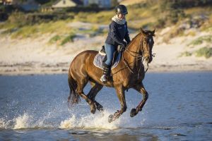 reiten 071b25bf T.u.S. Bargstedt Bargstedt